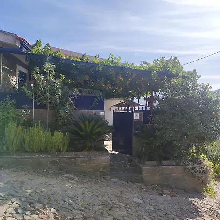 Encosta Do Pinhao