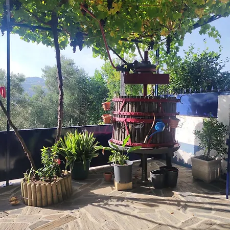 Encosta Do Pinhao Feriehus