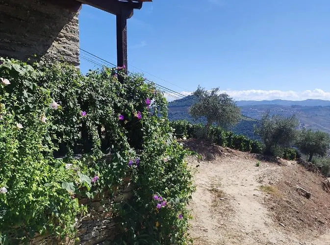 Encosta Do Pinhao בית נופש Casal de Loivos