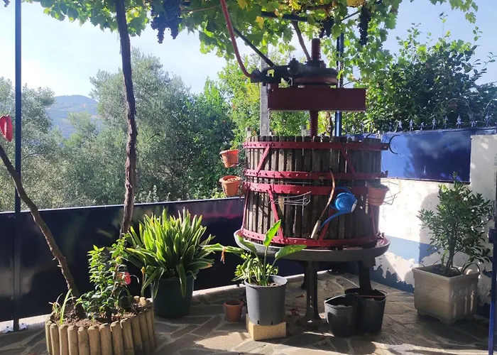 Encosta Do Pinhao בית נופש